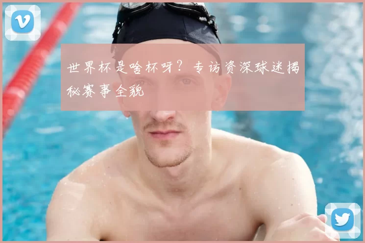 世界杯是啥杯呀?专访资深球迷揭秘赛事全貌