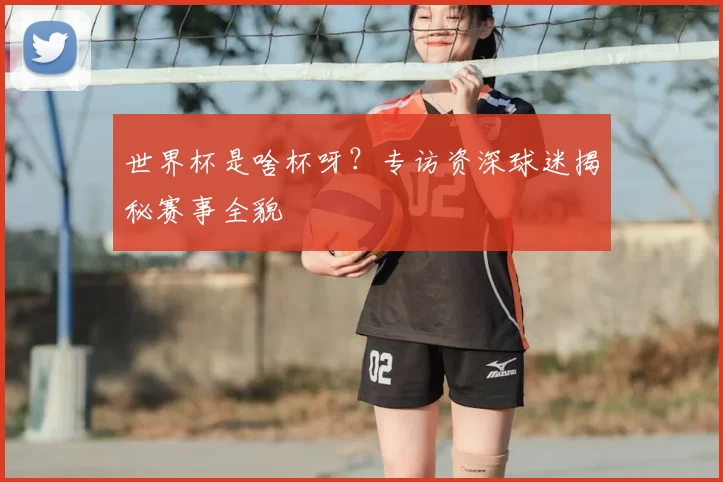 世界杯是啥杯呀?专访资深球迷揭秘赛事全貌