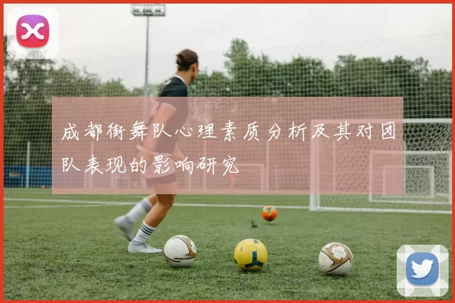 成都街舞队心理素质分析及其对团队表现的影响研究