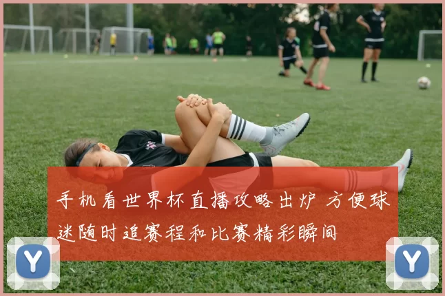 手机看世界杯直播攻略出炉 方便球迷随时追赛程和比赛精彩瞬间