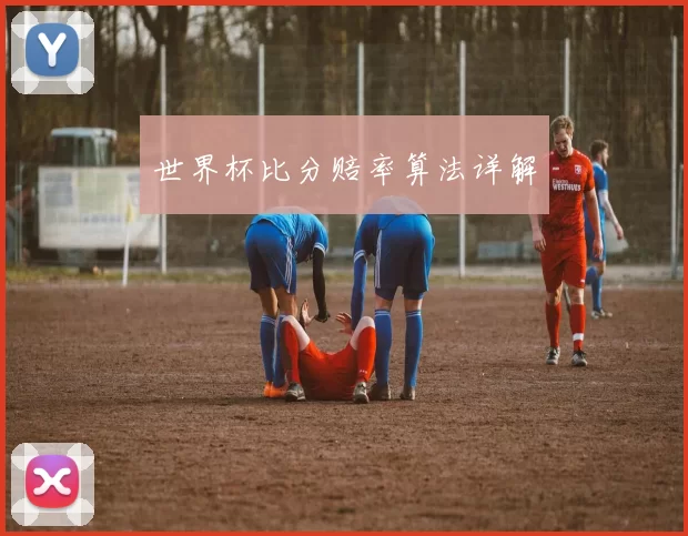 世界杯比分赔率算法详解