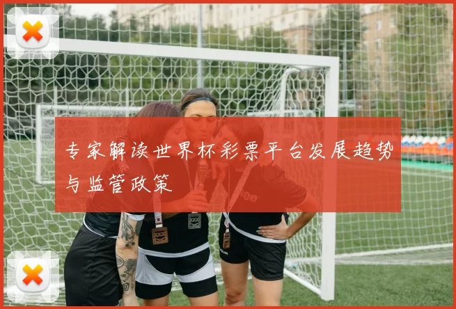 专家解读世界杯彩票平台发展趋势与监管政策