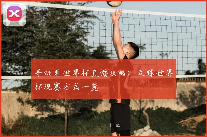 手机看世界杯直播攻略:足球世界杯观赛方式一览