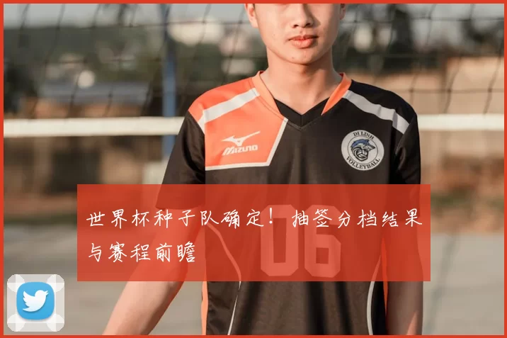 世界杯种子队确定！抽签分档结果与赛程前瞻
