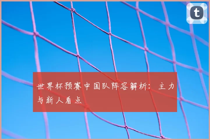 世界杯预赛中国队阵容解析：主力与新人看点