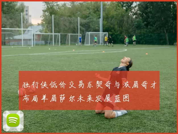 独行侠低价交易东契奇与浓眉奇才布局羊眉萨尔未来发展蓝图